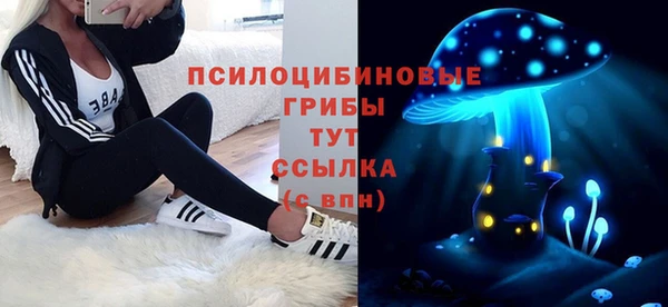 стафф Баксан