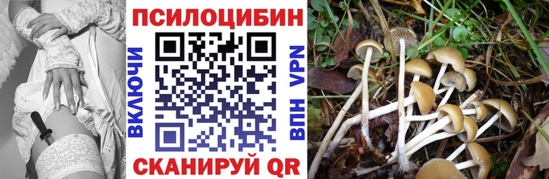 Галлюциногенные грибы MAGIC MUSHROOMS  Тетюши 